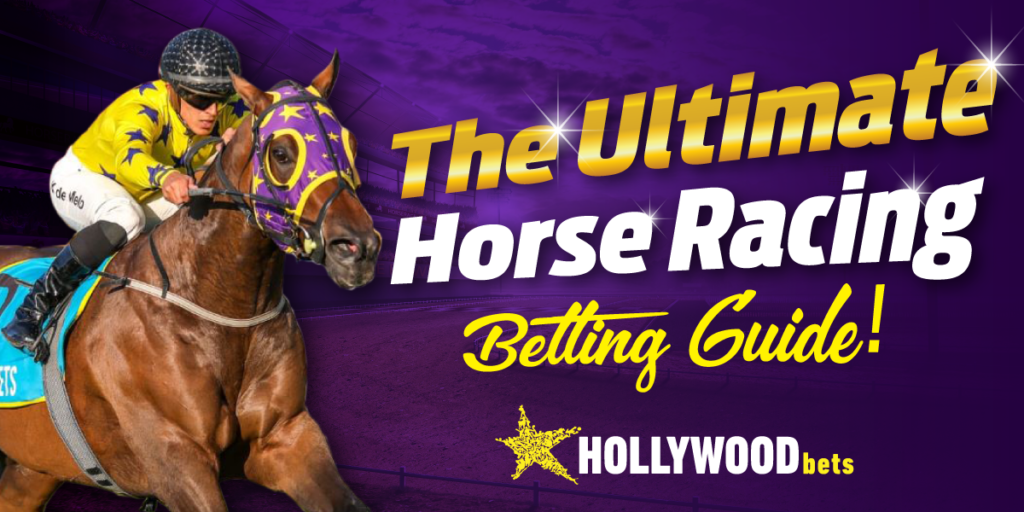 Hollywood Bets vs Vetway Horse Racing Experience
